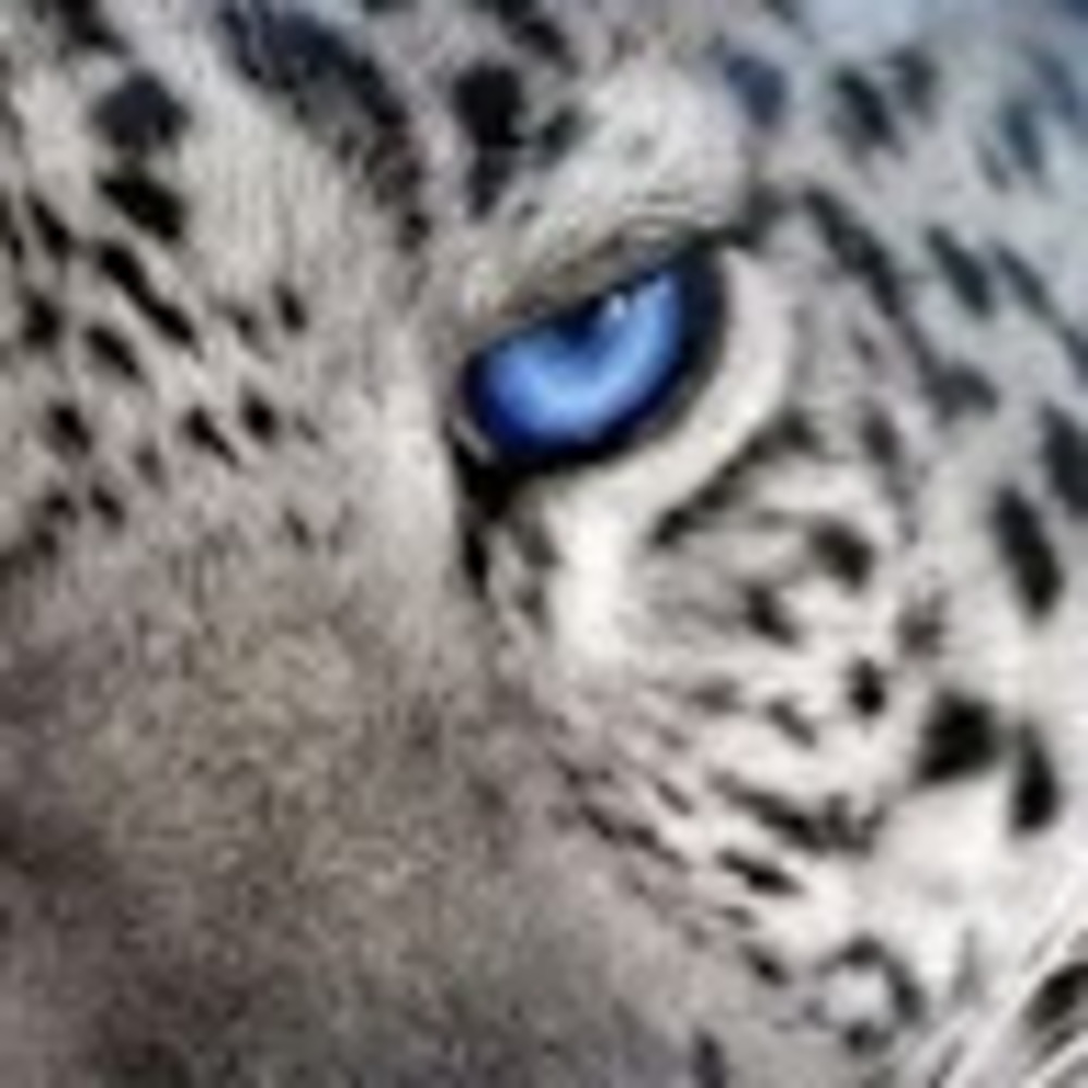 Meet your Posher, Louise